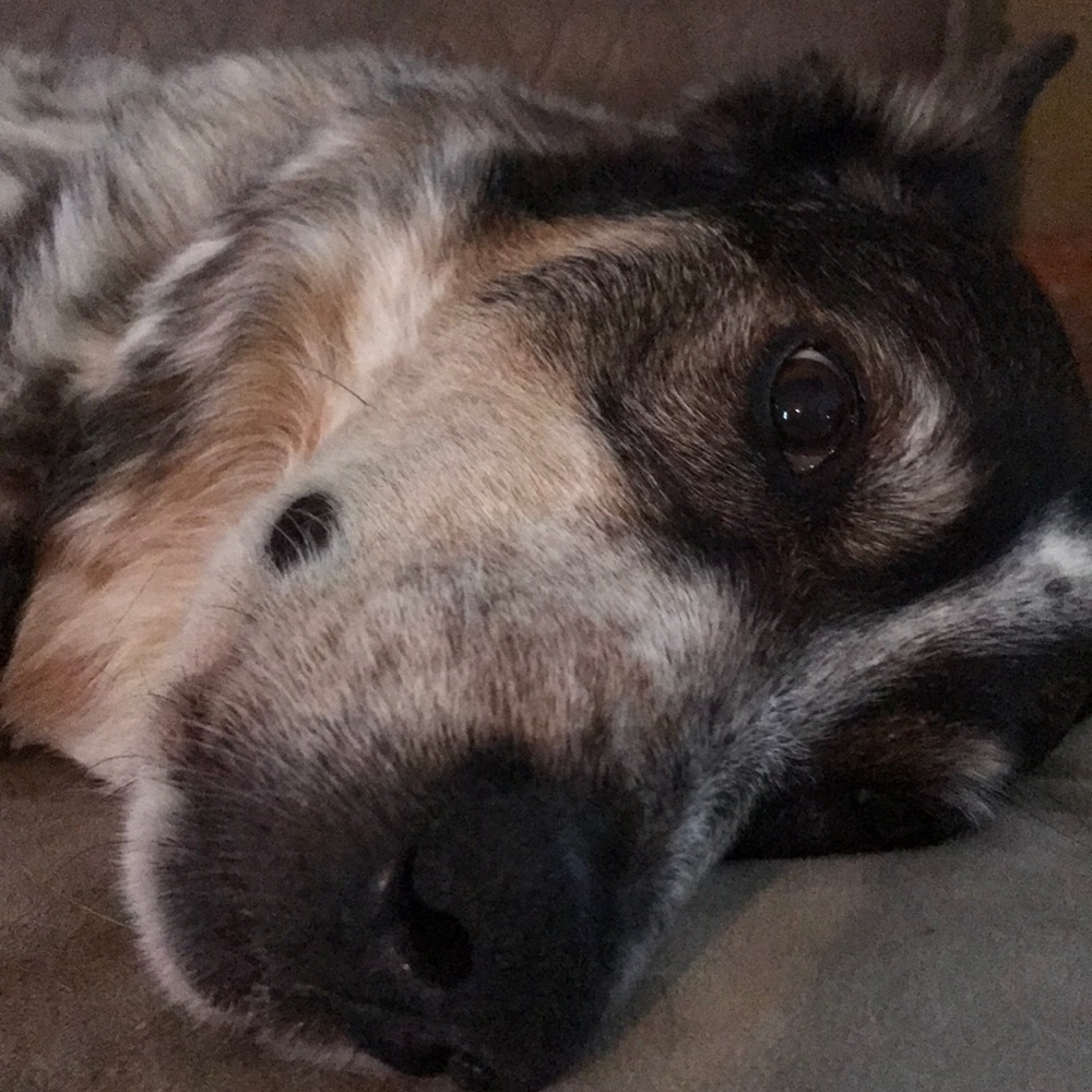 Meet your Posher, Larissa